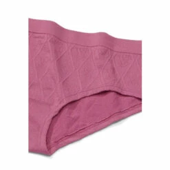 Victoria’s Secret Victoria's Secret Seamless Hiphugger Panty -Victoria's Secret Shop unnamed file 1685